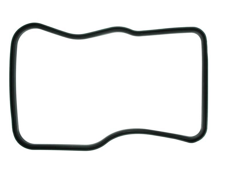 კარტერის საფენი MAN