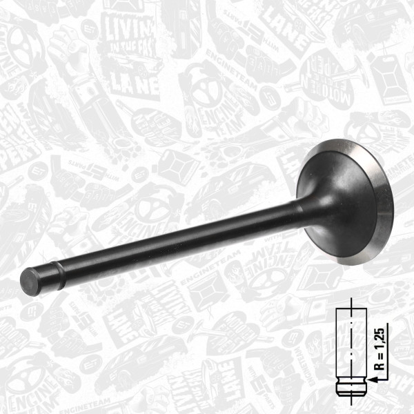 გამომშვები სარქველი